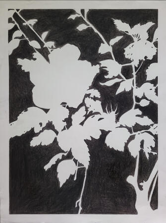 Charcoal negative space- Flower